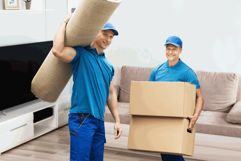 Local moving companies in Dubai